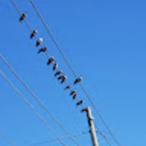 Meet your Posher, Kathy